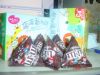 ���Ѫ��^�СCSummer school_2007