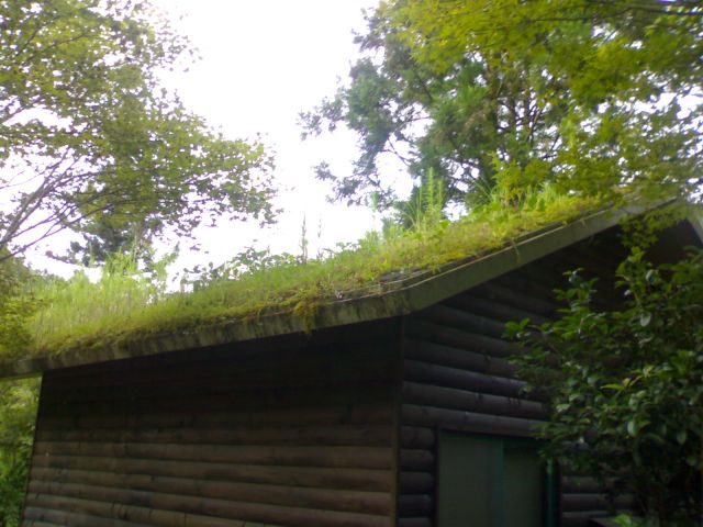 ˵