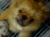 `�ڪ�♥�d�� =)
