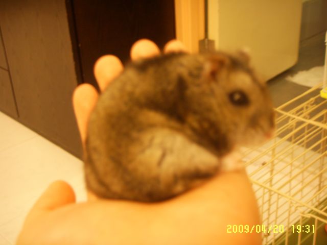 ˵