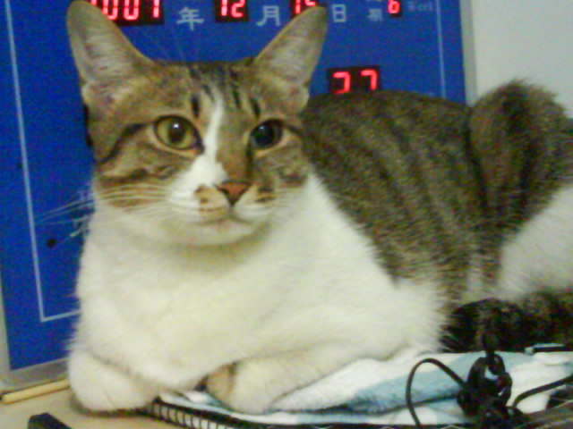 ˵