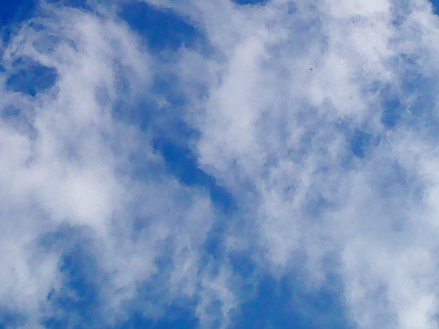 ˵