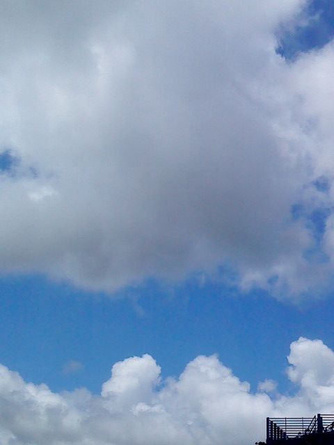 ˵