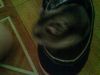 fd and me pet`
