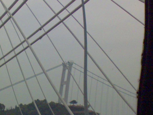 ˵