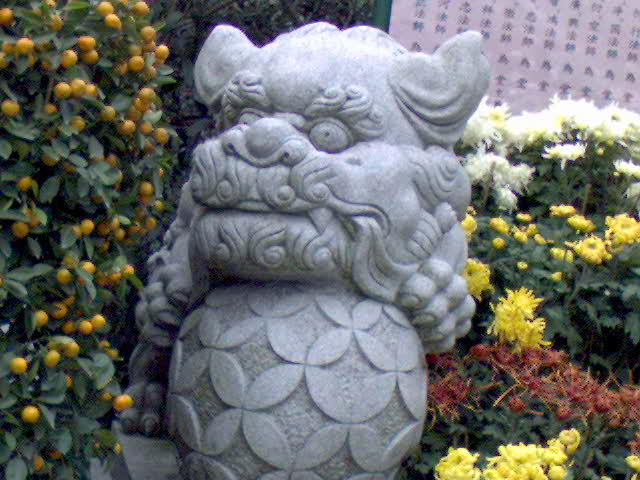 ˵