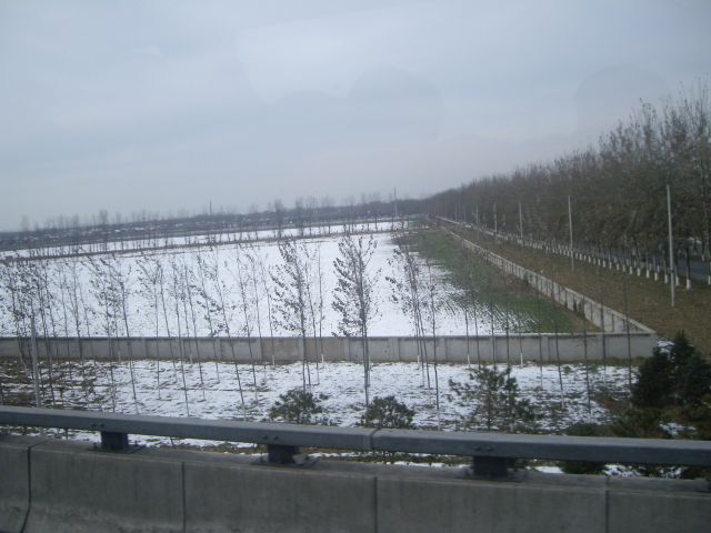 ˵