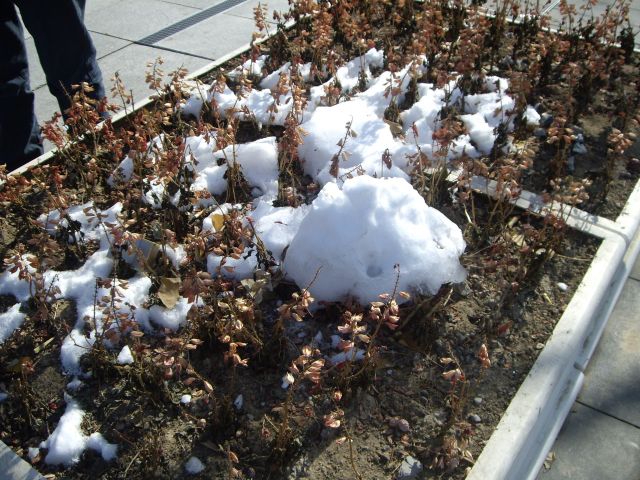 ˵