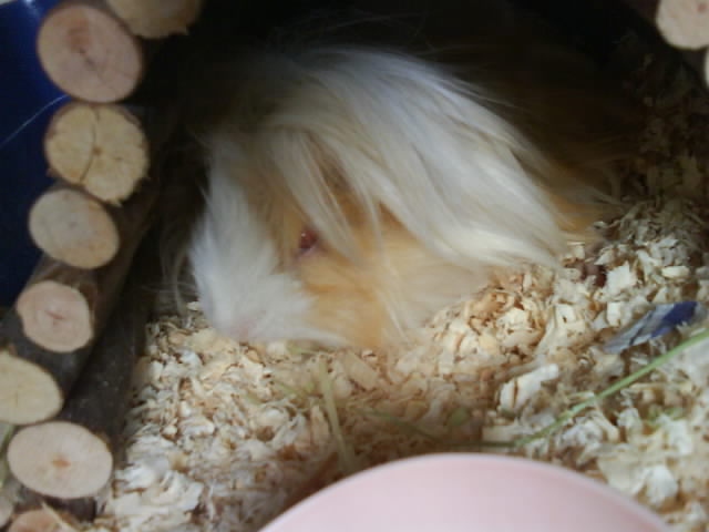 ˵