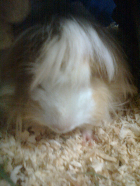 ˵