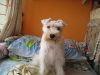 �ª��M��:p
