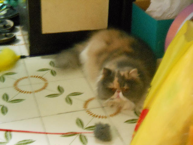 ˵