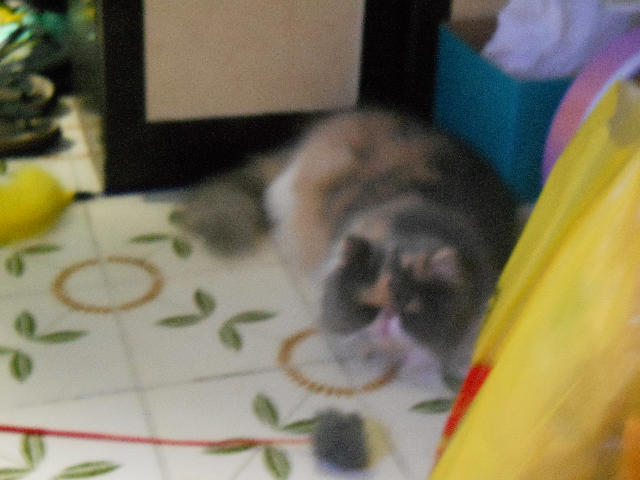 ˵