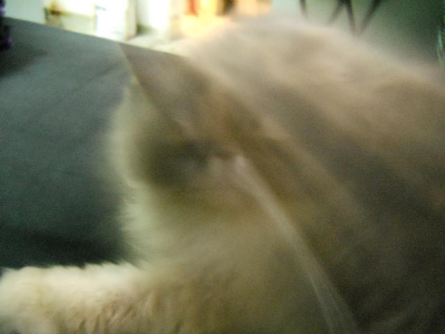 ˵