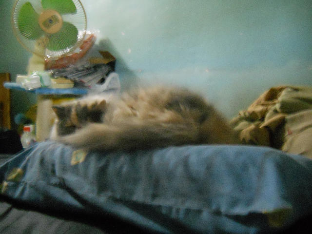 ˵