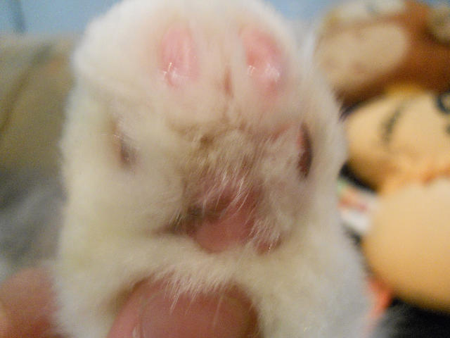 ˵