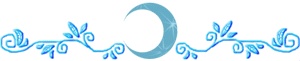 ˵