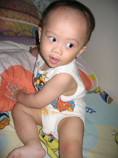 ˵