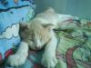 �a�ڪ��p!