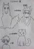 �P�H�e Tsubasa�l �p�T�¿�