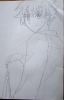 �P�H�e Tsubasa�l �p�T3
