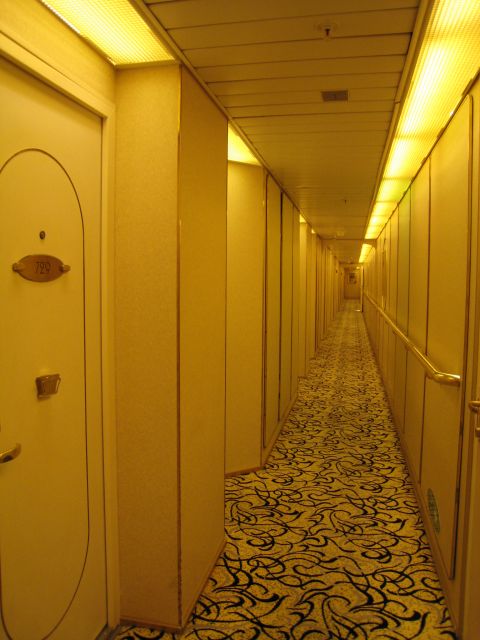 ˵