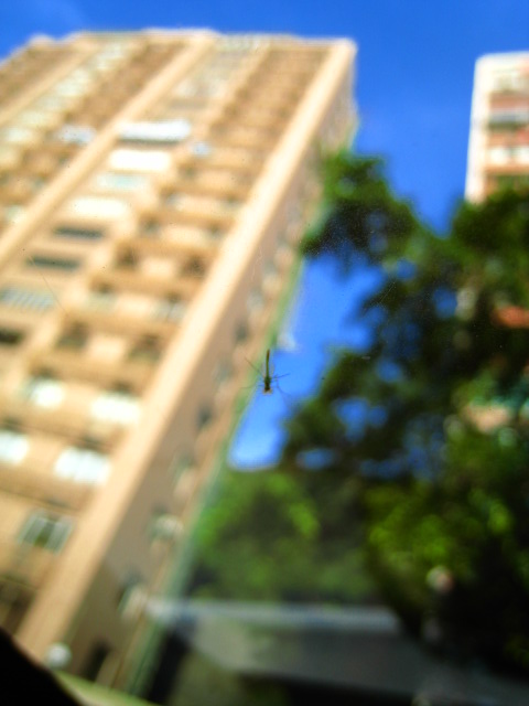 ˵