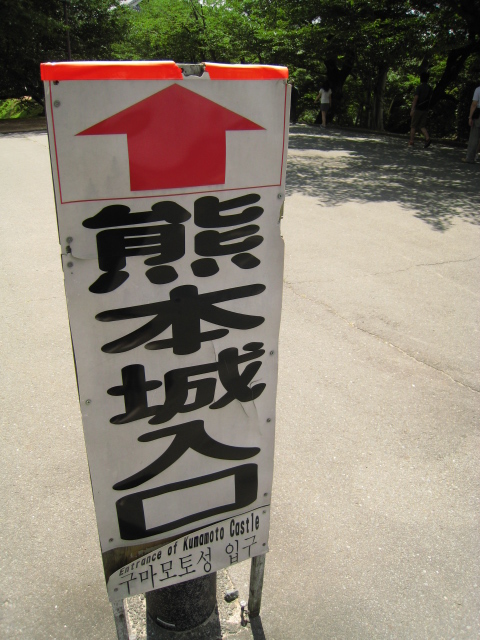 ˵