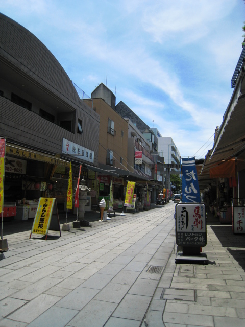 ˵