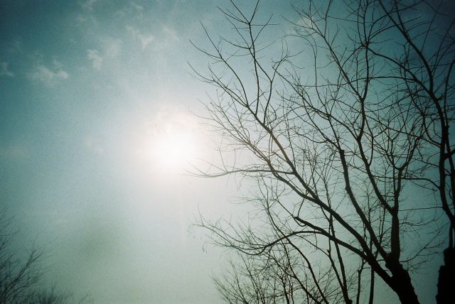 ˵
