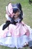 �z�jCOSPLAY