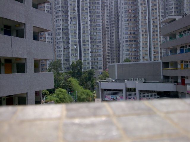 ˵