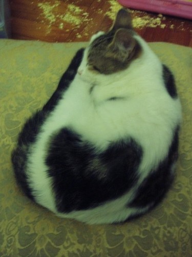 ˵