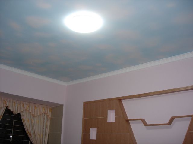 ˵