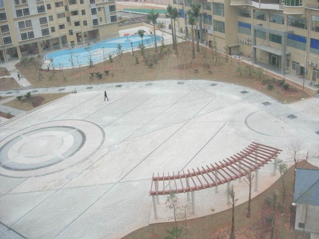 ˵