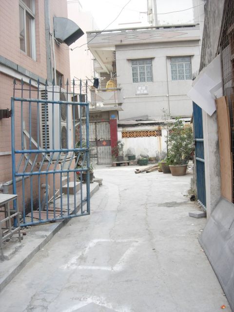 ˵