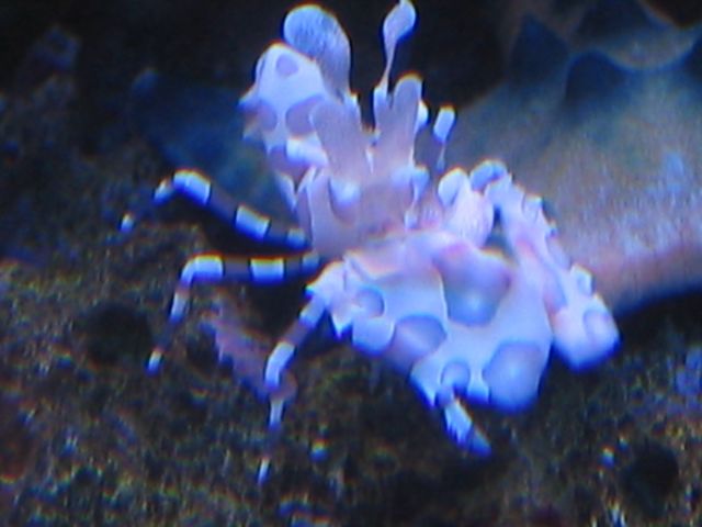 �˵����