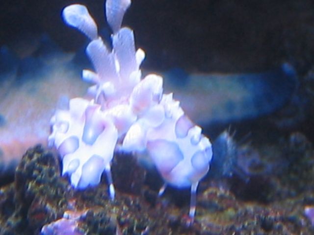 �˵����