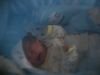 baby