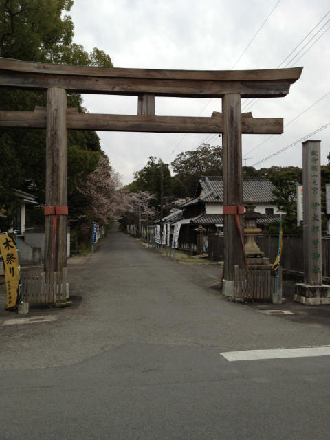 ˵