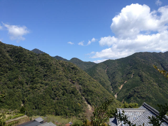 ˵