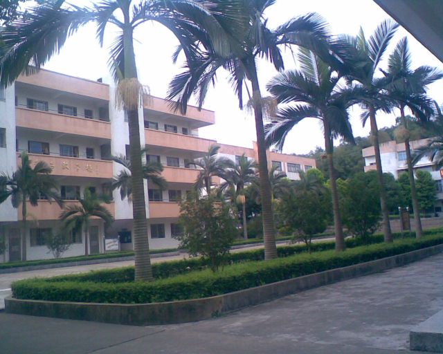 ˵