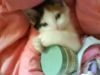 -�@�@�@MYCAT.