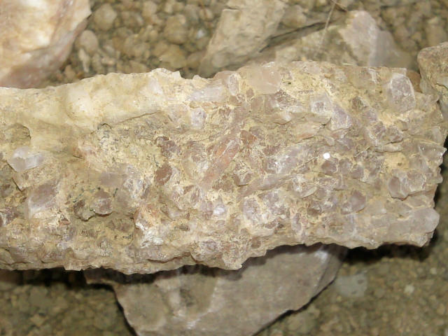 ˵