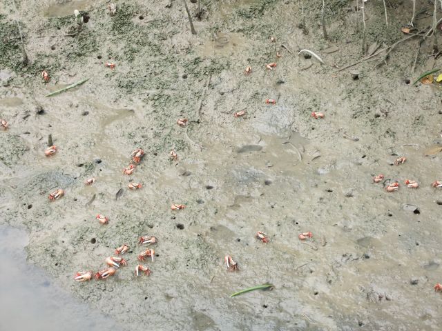 ˵