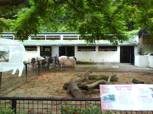˵