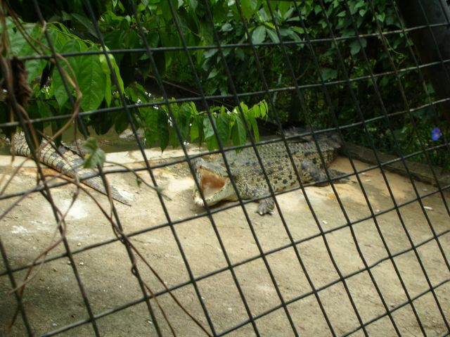 ˵