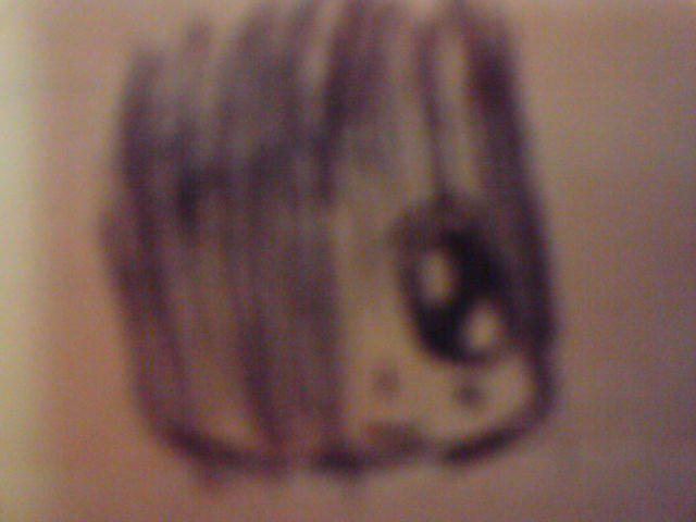 ˵