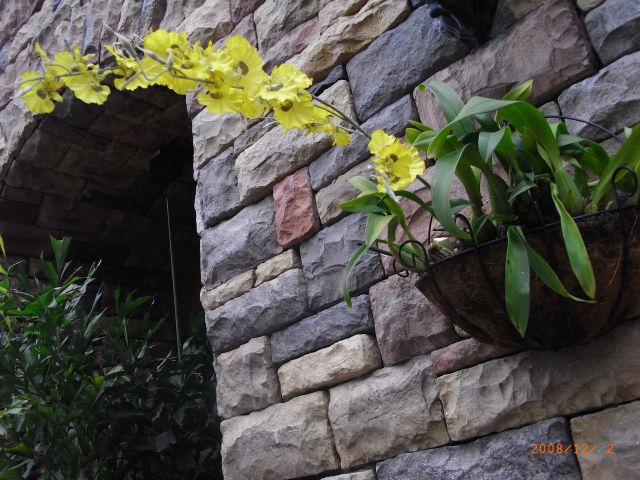 ˵
