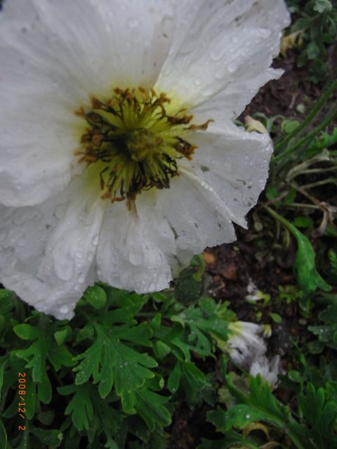 ˵